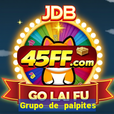 Grupo de palpites de futebol gratis